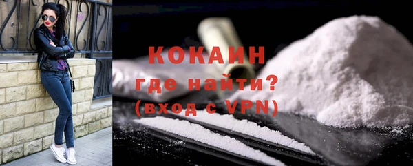 стафф Дмитров
