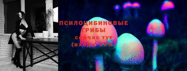 ПСИЛОЦИБИНОВЫЕ ГРИБЫ Ельня