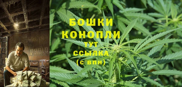 сатива Дмитриев