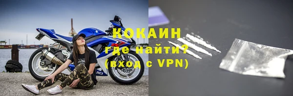 стафф Дмитров