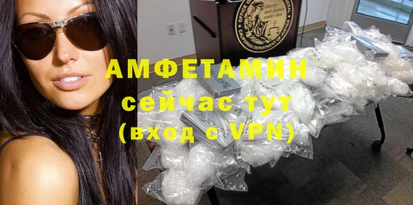 сатива Дмитриев