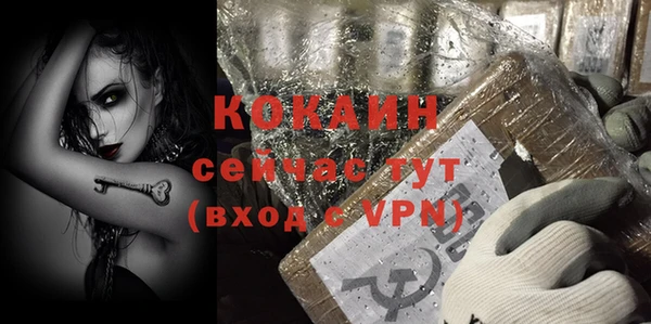 стафф Дмитров