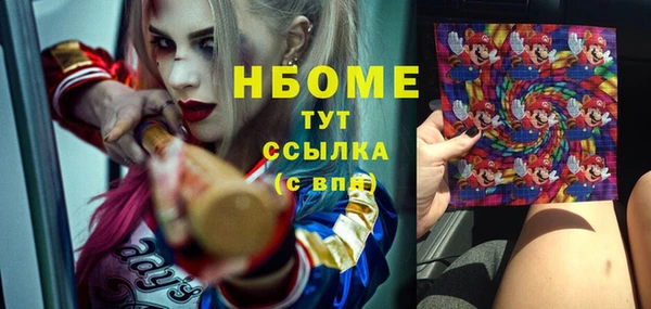 стафф Дмитров