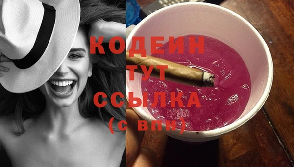 сатива Дмитриев