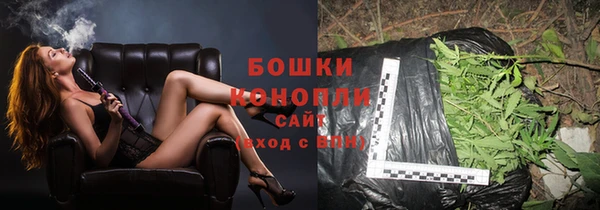 стафф Дмитров