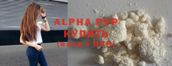 сатива Дмитриев